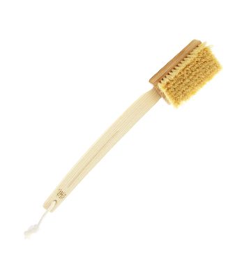 Tampico natural brush with removable handle